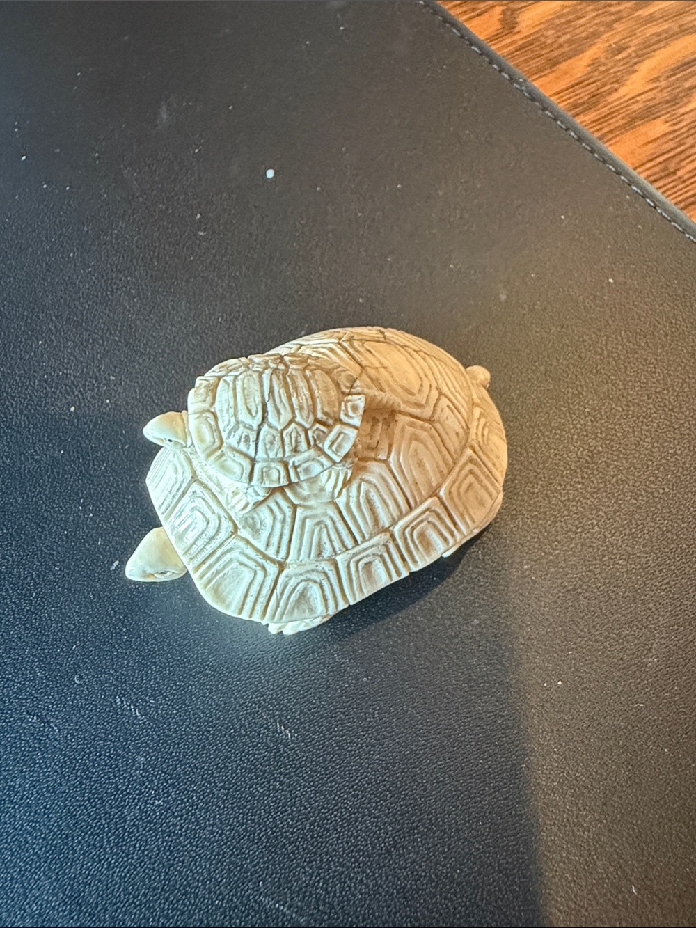Cream Tortoise Shell Hide for Reptile Habitats
